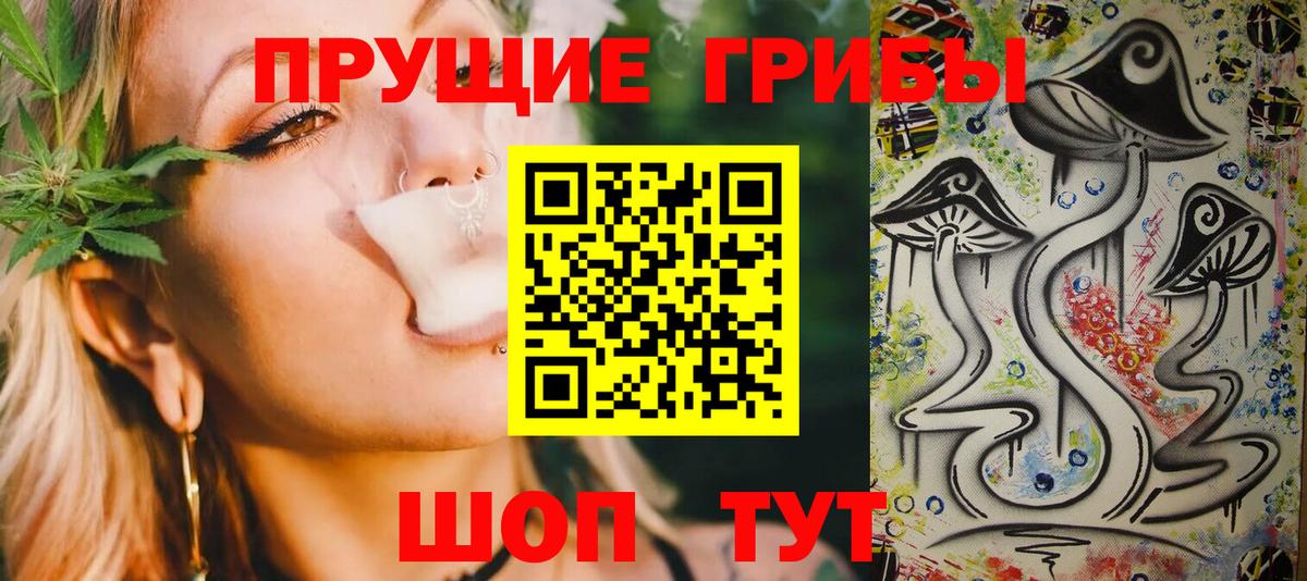 наркота  Псилоцибиновые грибы MAGIC MUSHROOMS  Вход с VPN  Заволжье 